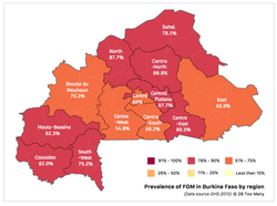 Prevalence Map: FGM in Burkina Faso (2010, English)